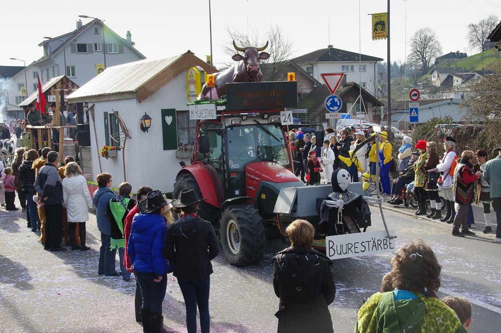 Fasnachtsumzug Root 2016