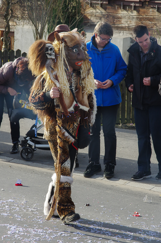 Fasnachtsumzug Root 2016