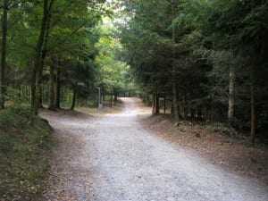 RO14_1205_Buerispiegel_Wanderwege