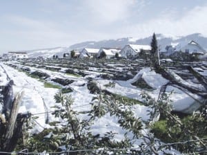 Schneefall 3