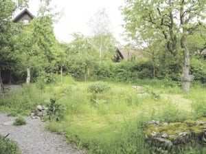 Eine Naturoase im eigenen Garten. Foto zVg