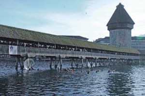 Die Luzerner Rettungsschwimmer schwammen an Silvester von der Seebrücke zum Rathaussteg. Bild zVg.