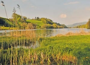 10_Rotsee2kl