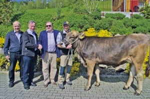 Das Rind «Serina» ist der Siegerpreis des 56. Michaelskreuzschwingets. Von links: OK-Präsident Walter Fässler, Gabenchef Josef Ineichen, Siegerpreisspender Beat Grüter, Pasta Premium AG (Bschüssig Teigwaren), und Züchter Remo Stettler.