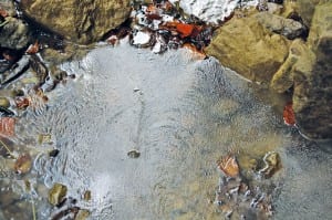 Dieselöl im Adligenswiler Luzebach. Bild zVg.