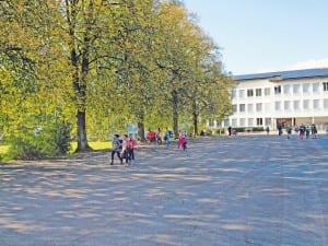 Zwei Linden im Schulhaus Zentral werden im Winter gefällt. Bild zVg.