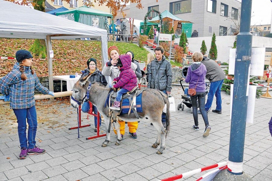 Reiten auf dem Eseli.