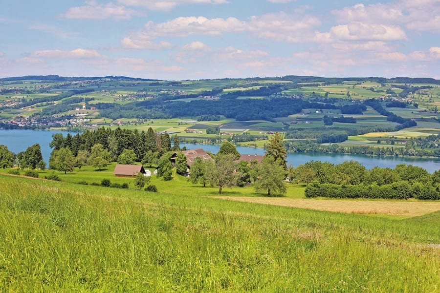 Die wertschöpfungsstarke Luzerner Landwirtschaft prägt das Landschaftsbild. Im Bild: Das Luzerner Seetal.