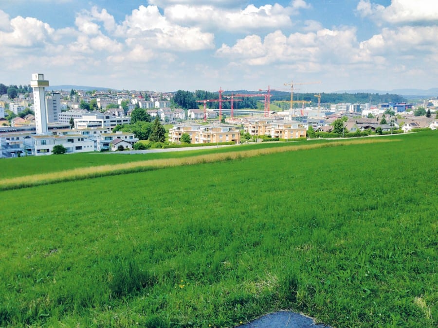 44_1_Grundstueck_Obfildern_Ebikon