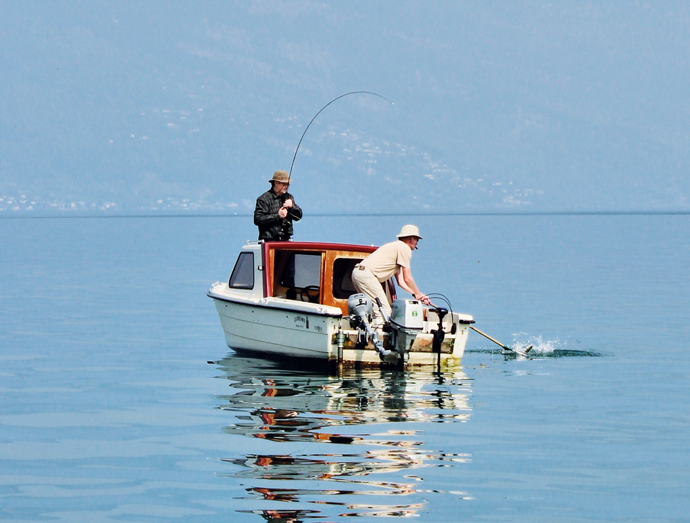 Fische sind klein, still und unverzichtbar