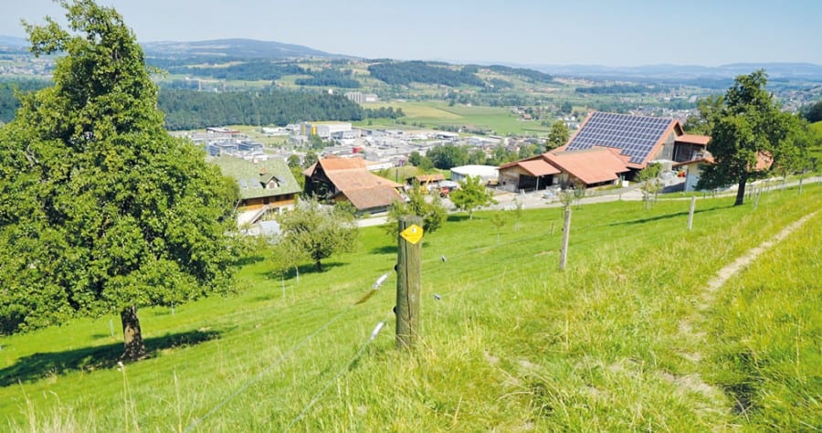 Biohof an prächtiger Aussichtslage oberhalb von Dierikon. BilderRoger Stadelmann.