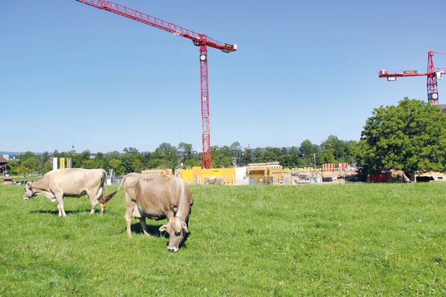 Der beschauliche Eindruck von Alpwiese täuscht: In Rathausen entstehen 90 Wohnplätze für Menschen mit schweren Behinderungen.