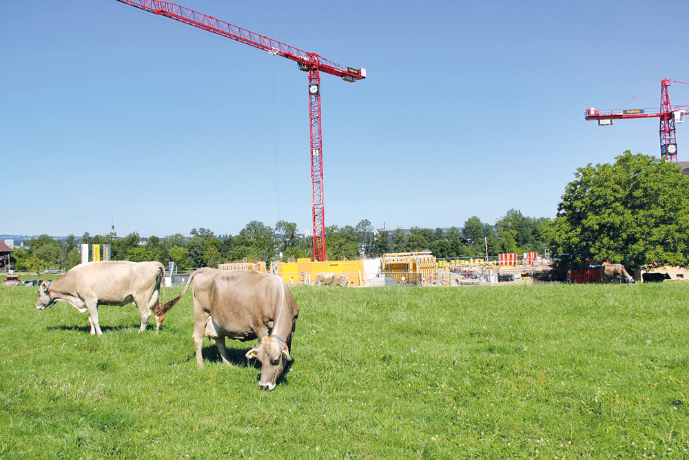 Bauen für ein würdiges Leben