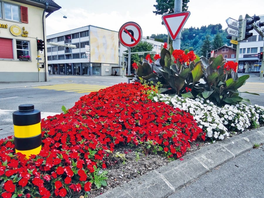 Das Resultat Ende Sommer: Prachtvolle Blumenrabatte bei der Sonnen-Kreuzung.