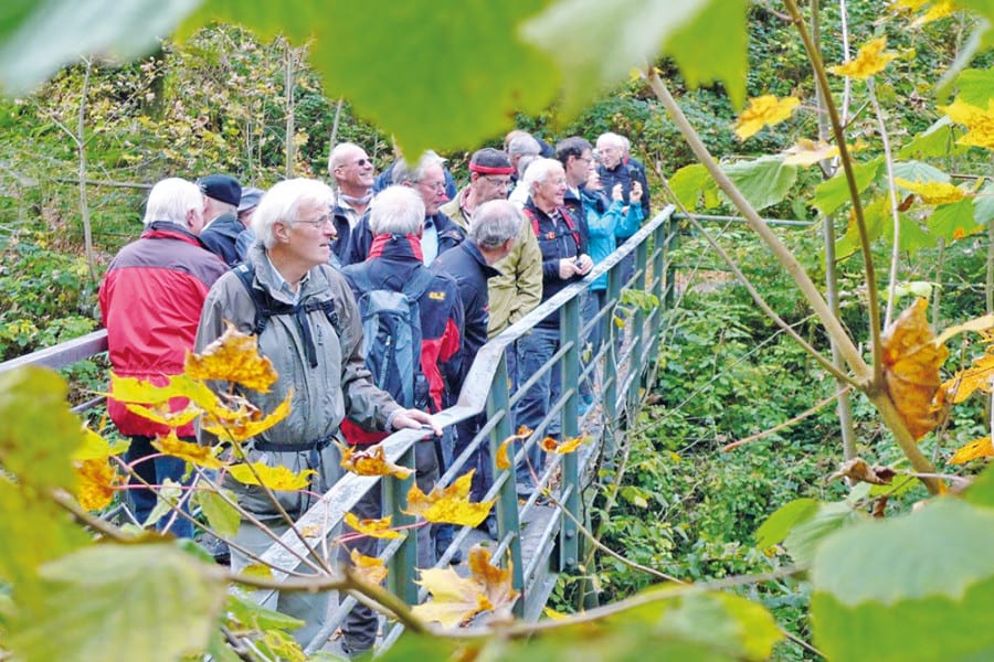 31_luzerner_wanderwege