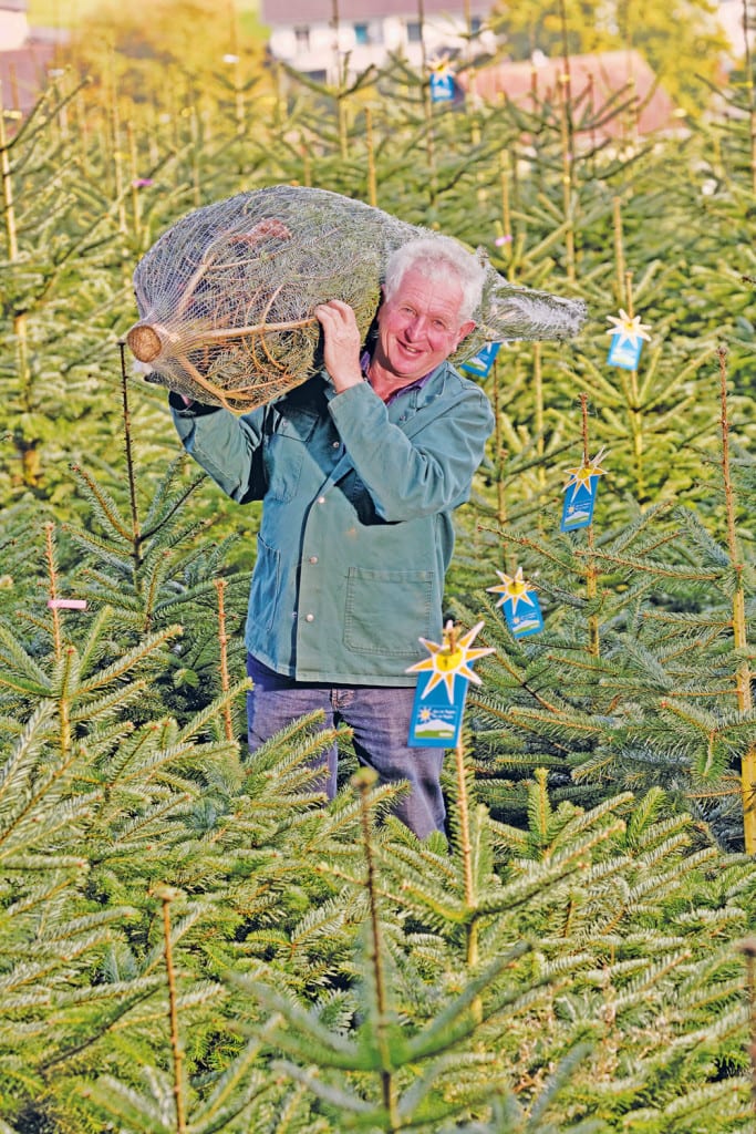 Der MParc Ebikon bietet ein breites Angebot an Christbäumen aus der Region, darunter auch die Nordmanntannen von Albert Stirnimann aus Buchrain.