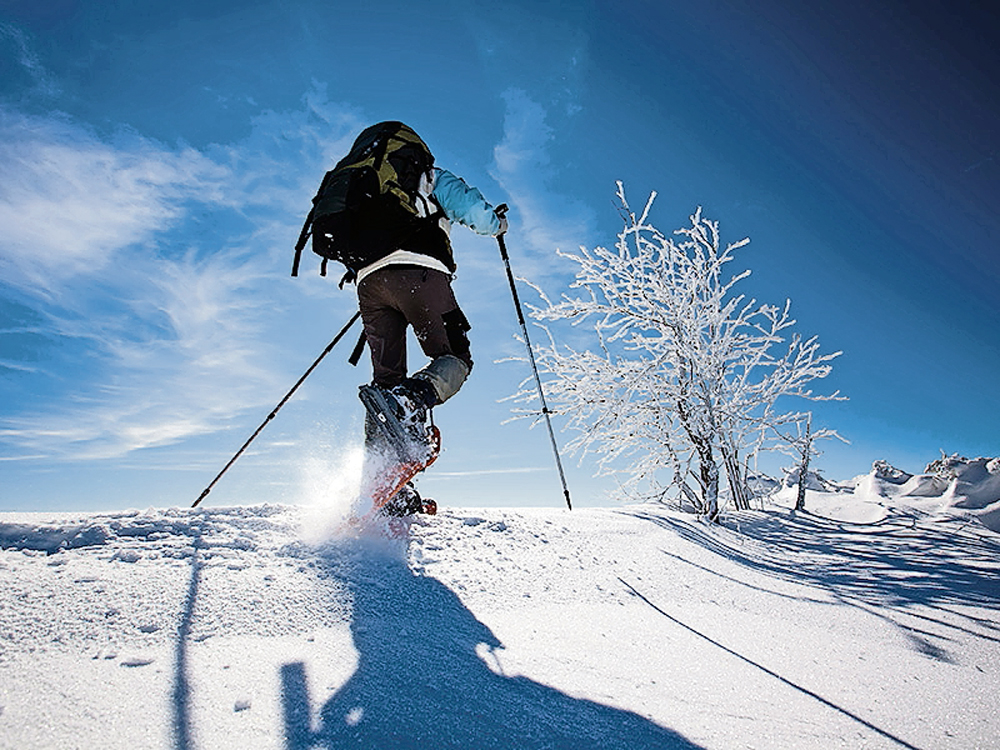 Schneeschuh-Wanderung WT 1