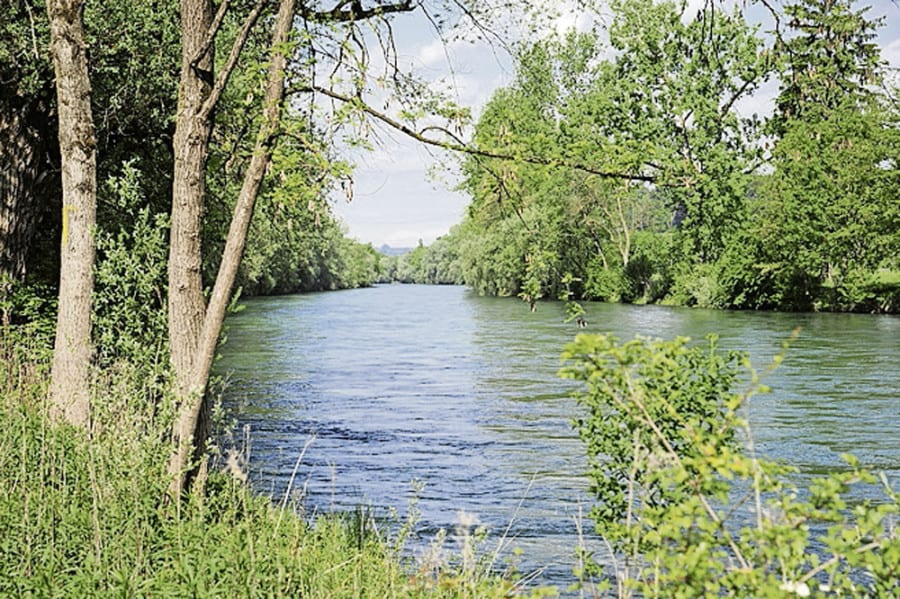 Die Luzerner Fischer wollen das Projekt Reuss-Sanierung optimieren, aber nicht gefährden. Bild Toni Trüssel.