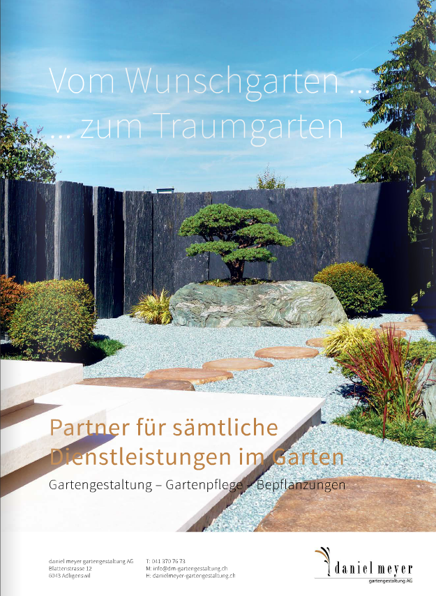 Magazin Daniel Meyer Gartengestaltung