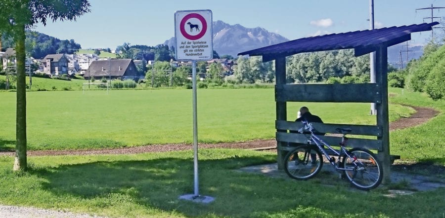 Auf dem Sportfeld Risch in Ebikon ist das Hundeverbot neu signalisiert. Bild zVg.