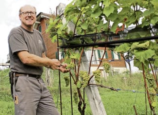 «Wer hätte gedacht, dass wir je Winzer werden ?»