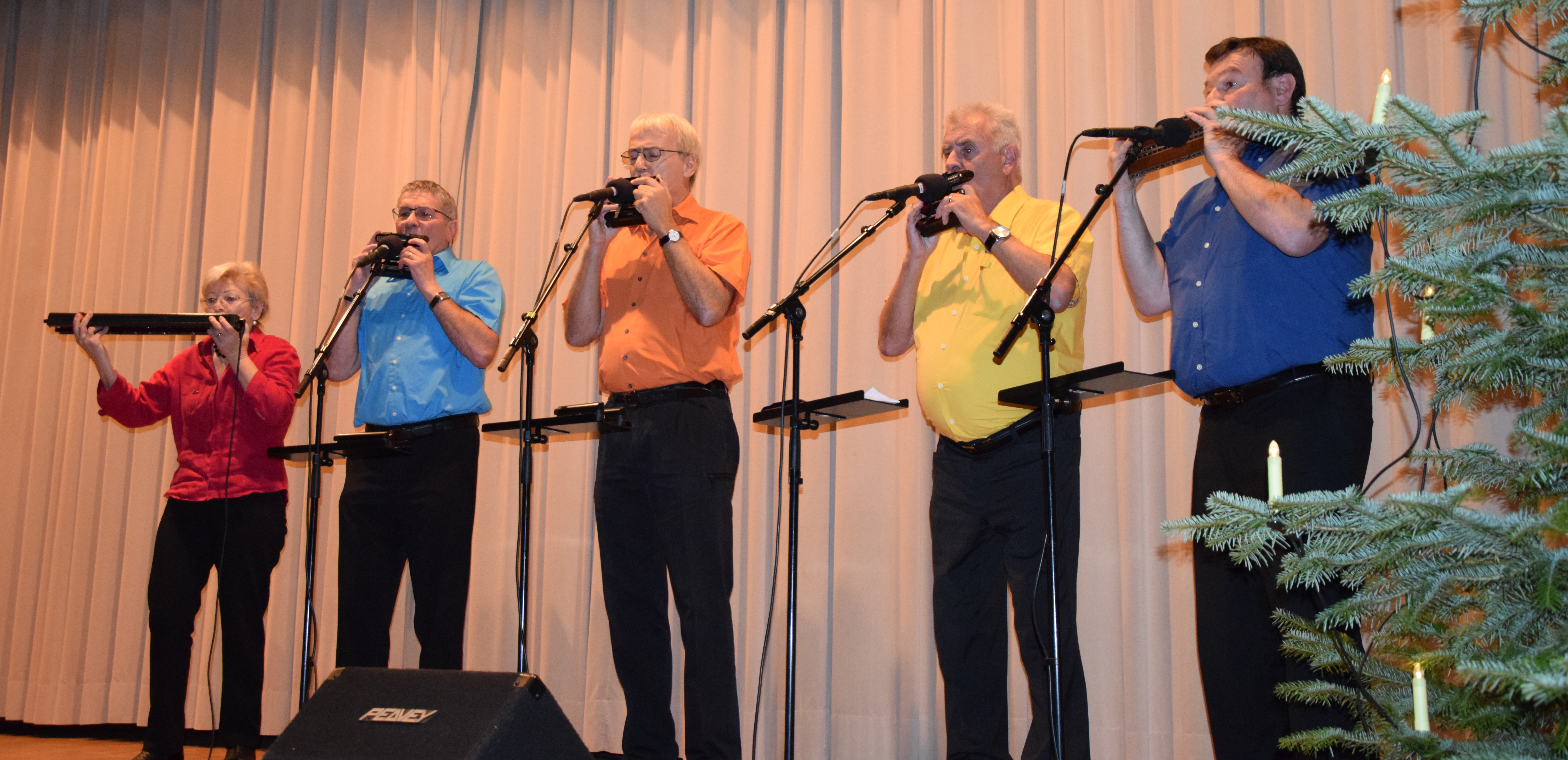 Das Luzerner Mundharmonika-Quintett «Colores» beim Auftritt an der Weihnachtsfeier. Bild zVg.