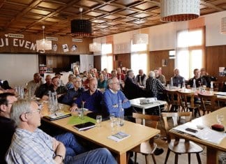 Rindviecher und Wanderwege