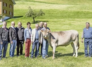 Siegerpreis steht bereit für den Michaelskreuz-Schwinget