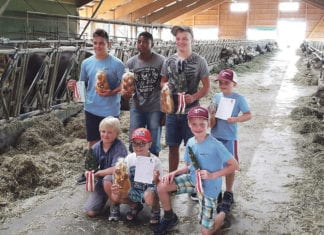 Schwung folgt auf Schwung