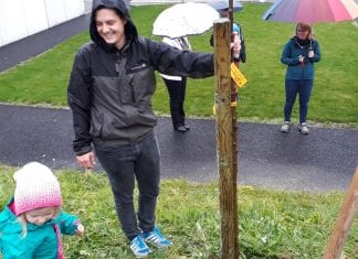 Wer Bäume pflanzt, wird den Himmel ernten