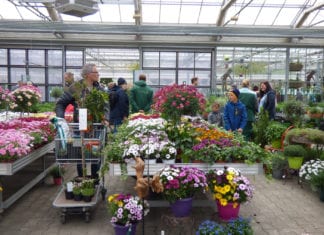 Frühlingsfest der Gärtnerei und Baumschule Schwitter