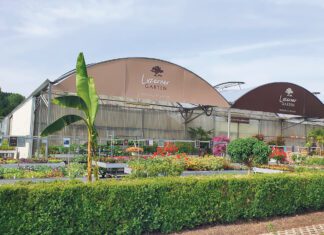 Die ersten Sommerboten sind da