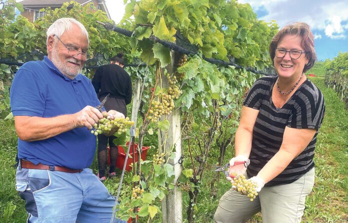 38-26-01-Winzerin-Conny-Sticher