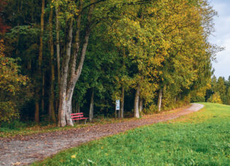 Waldreservat zunehmend unter Druck