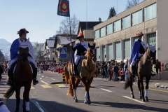 fasnacht-ebikon-18-017