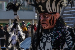 fasnacht-ebikon-18-080