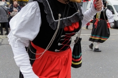 fasnacht-ebikon-211