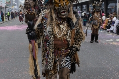 fasnacht-ebikon-219