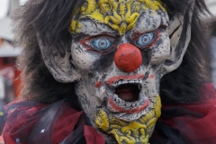 fasnacht-ebikon-283
