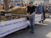 Fröschekorps Root «Rössli lauf galopp!»